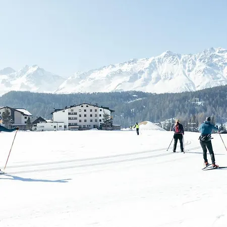 Falknerhof Niederthai